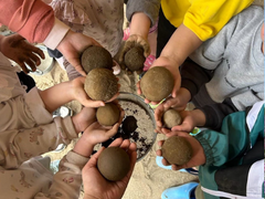 あいいく幼稚園園長　椎葉 恵子